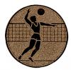 Volleybal heren